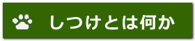 しつけとは何か