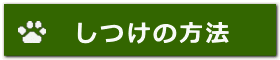 しつけの方法