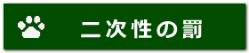 二次性の罰