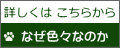 詳しくは こちらから