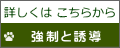 詳しくは こちらから