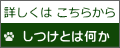 詳しくは こちらから