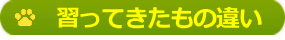 習ってきたもの違い