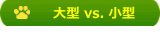 大型 vs. 小型