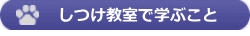 しつけ教室で学ぶこと