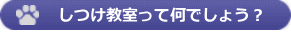 しつけ教室って何でしょう？