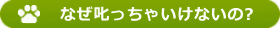 なぜ叱っちゃいけないの?