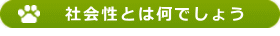 社会性とは何でしょう