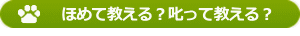 ほめて教える?叱って教える?