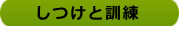 しつけと訓練 