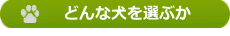 どんな犬を選ぶか