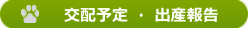 交配予定 ・ 出産報告 